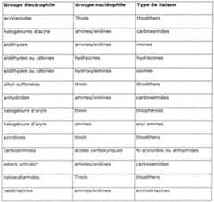 Figure imgf000021_0001