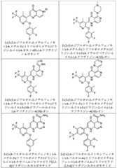 Figure 2025513455000100