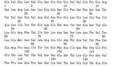 Figure 108143719-A0101-12-0088-175