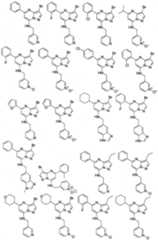 Figure imgf000031_0001