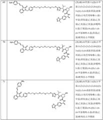 Figure BDA0003027048450003741