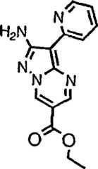 Figure G05845025220070629D002301