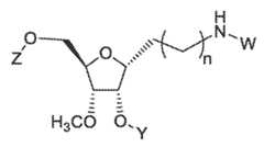 Figure imgf000135_0001