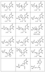 Figure imgf000005_0001