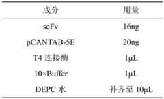 Figure BDA0003522458740000112