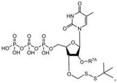 Figure BDA0003670511740002012