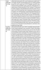 Figure BDA0004033970230005381