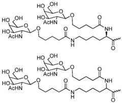 Figure imgf000095_0002