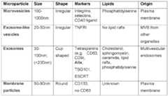 Figure imgf000011_0001