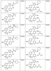 Figure imgf000030_0001