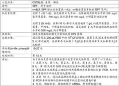 Figure BDA0002477368180000551