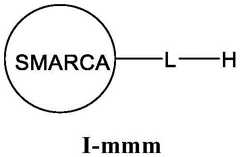 Figure FDA0003783300820000432