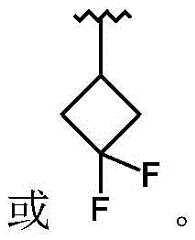 Figure FDA0003153440730000031