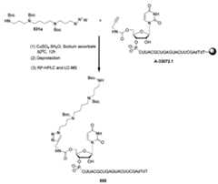 Figure imgf000178_0001