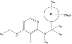 Figure 112017021375572-pct00102