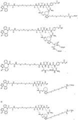 Figure BDA0002889616220001141