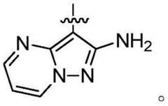 Figure BDA0003142399140000765