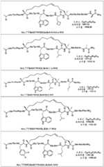 Figure BDA0002963300720001171