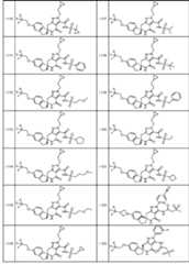 Figure JPOXMLDOC01-appb-T000095