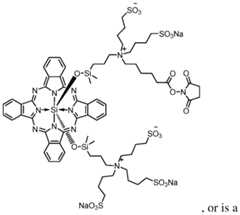 Figure imgf000125_0001