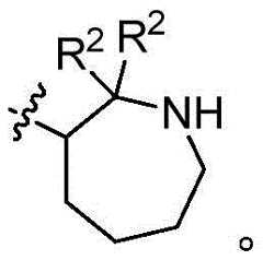 Figure GDA0003379855500001513