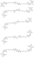 Figure PCTCN2021139314-appb-000048