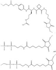 Figure imgf000572_0001