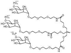 Figure imgf000053_0001