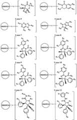 Figure FDA0003783300820000381