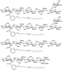 Figure imgf000149_0001