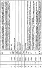 Figure BPA0000256061330001591