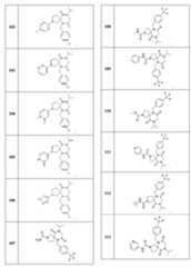 Figure 108131375-A0305-02-0501-33