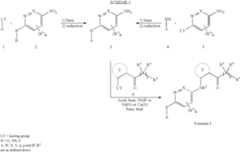 Figure US07547782-20090616-C00013