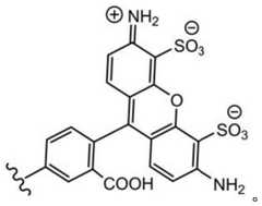 Figure BDA0003670511740001144