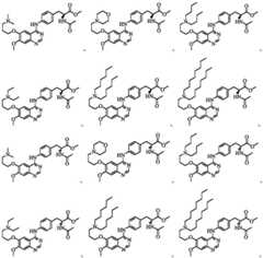 Figure FDA0004057291440000012