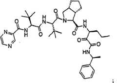 Figure G2009101493490D01413