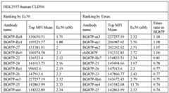 Figure imgf000079_0001