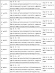 Figure BDA0001630110480000371