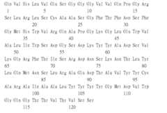 Figure 109115264-A0305-02-0239-97