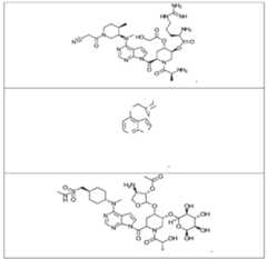 Figure imgf000064_0001