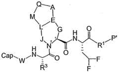 Figure imgf000531_0003