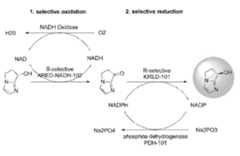 Figure imgf000023_0001