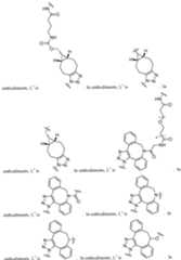 Figure imgf000079_0001