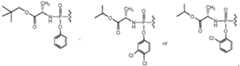 Figure imgb0033