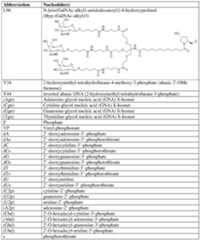Figure imgf000134_0001