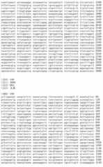 Figure IDA00002091897101111