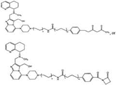 Figure imgf000081_0002