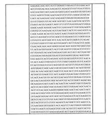 Figure 0007438604000077