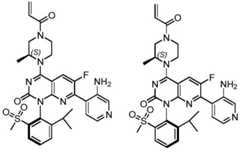 Figure BDA0002861043520000923