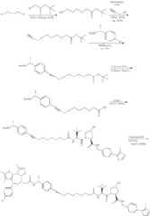 Figure US10772962-20200915-C00099